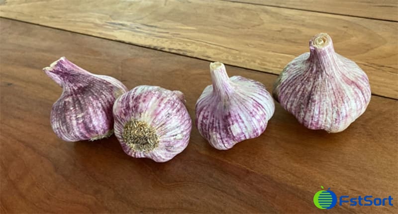 images/1750240309403clasificar el ajo.jpg